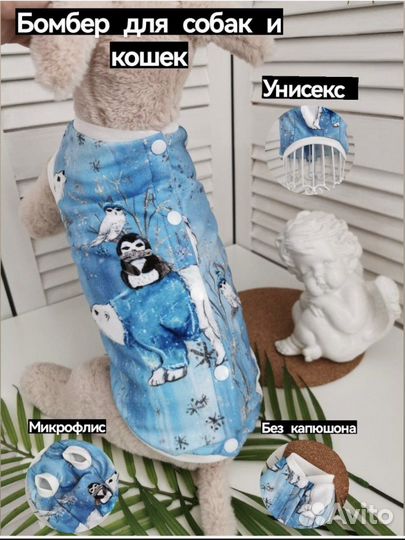 Одежда для собак мелких пород