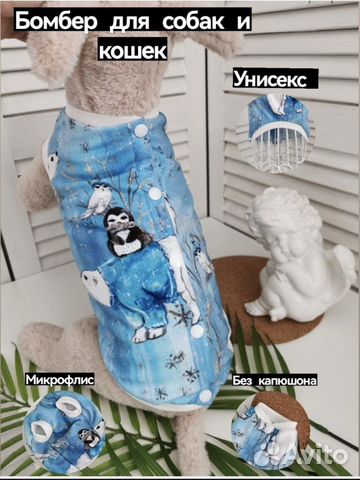 Одежда для собак мелких пород