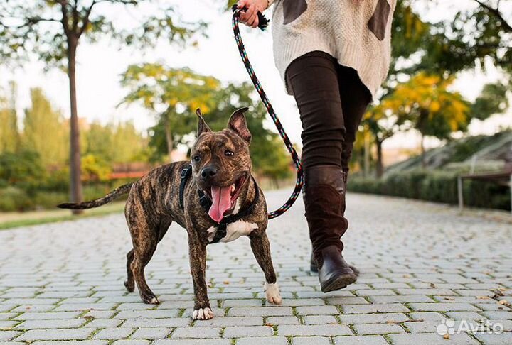 Уборка квартир/домов и помощь по хозяйству