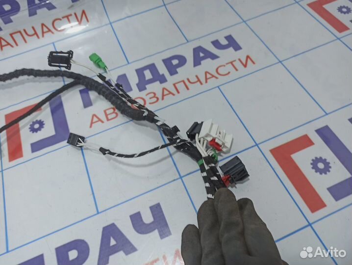 Проводка двери задней правой Volkswagen Tiguan (Mk2) 5NA971694K