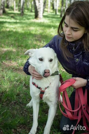 Прелестный малыш ищет дом