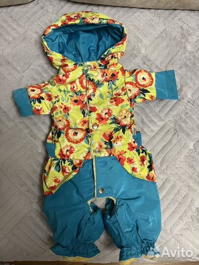 Продам комбинезон для собаки