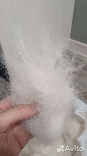 Собачий пух (бшо)