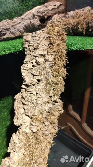 Террариум для рептилий