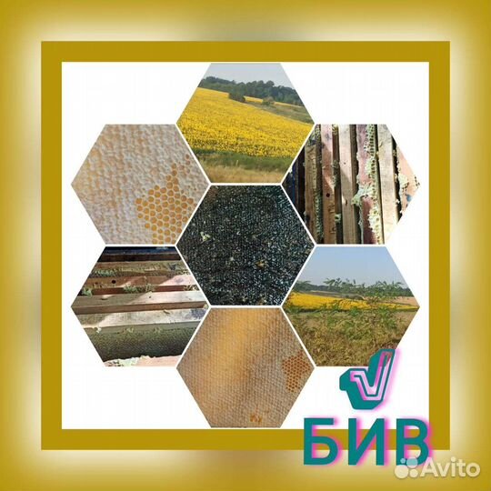 Мед Натуральный