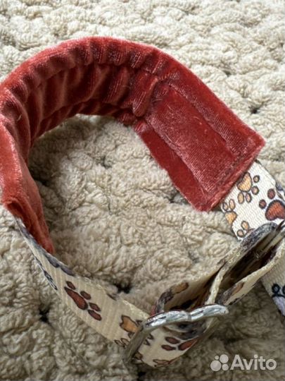 Ошейник-мартингейл с поводком для щенка