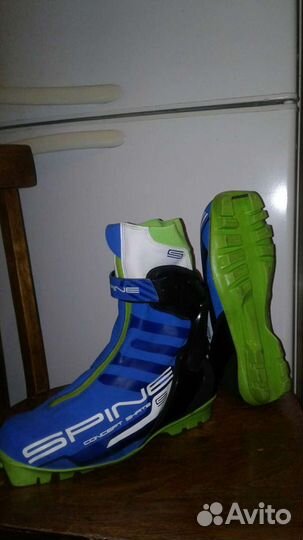 Spine Atomic Fischer Rossignol