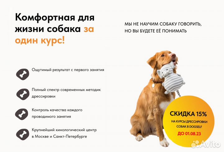 Услуги кинолога / Коррекция поведения