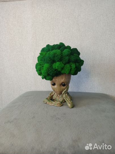 Грут со мхом