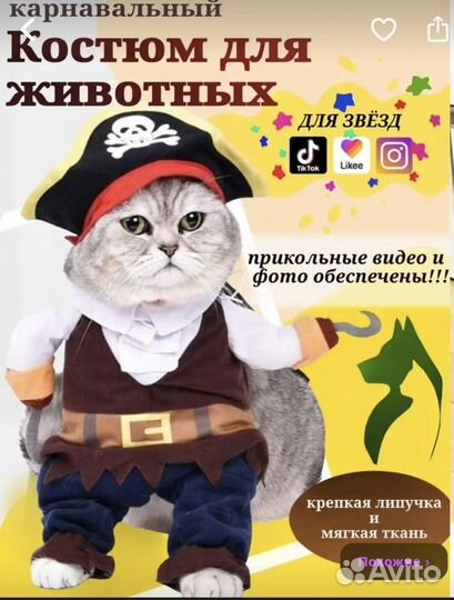Костюм для животных