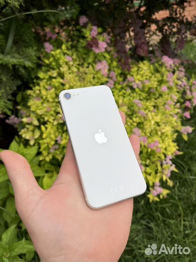 iPhone SE (2020), 128 ГБ
