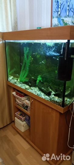 Аквариум с тумбой 300 литров