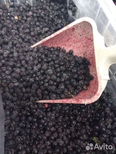 Ягоды Черника