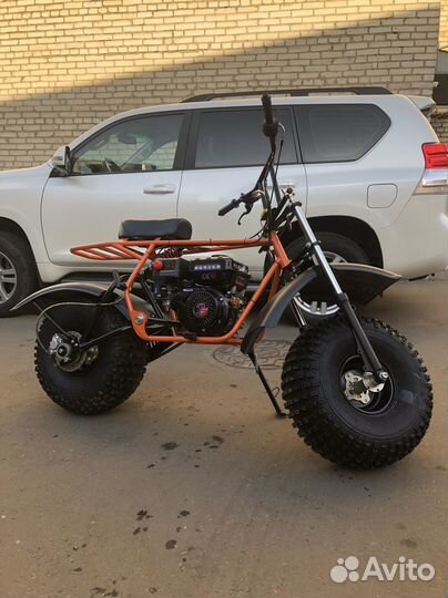 Скаут Боцман