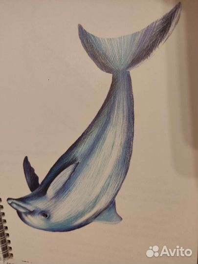 Альбом Рисуем по точкам. Классный