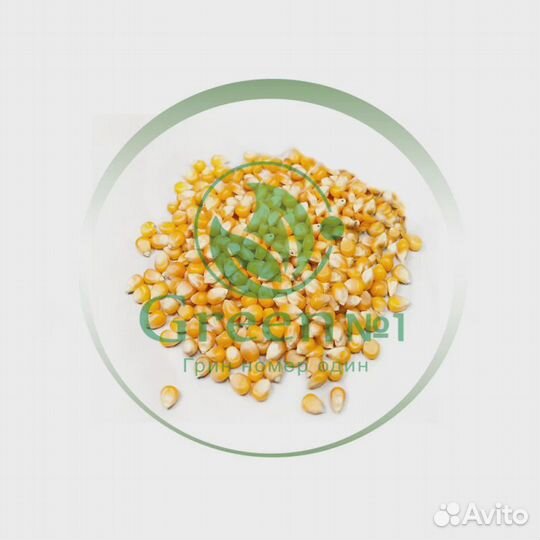 Семена весовые микрозелень