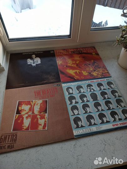 Виниловые пластинки