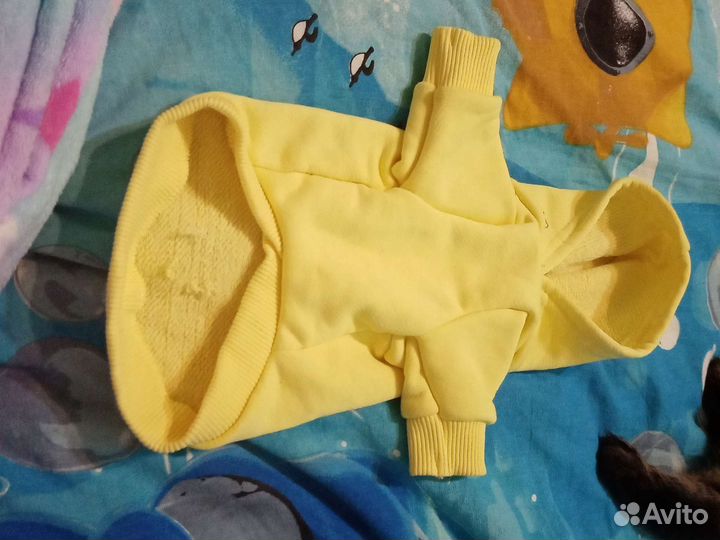 Одежда для собаки той-терьер