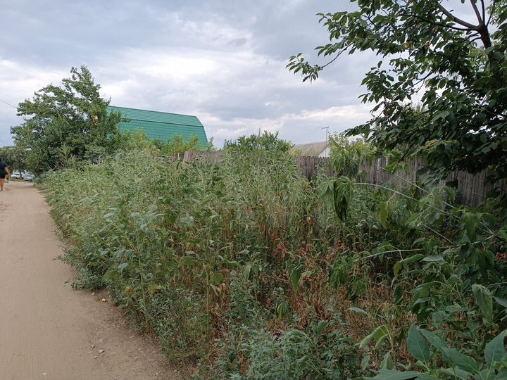 Участок 8 сот. (ИЖС)