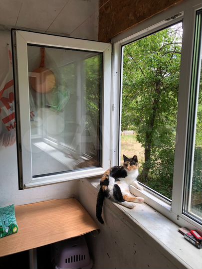 Комната 10,4 м² в 1-к., 1/5 эт.