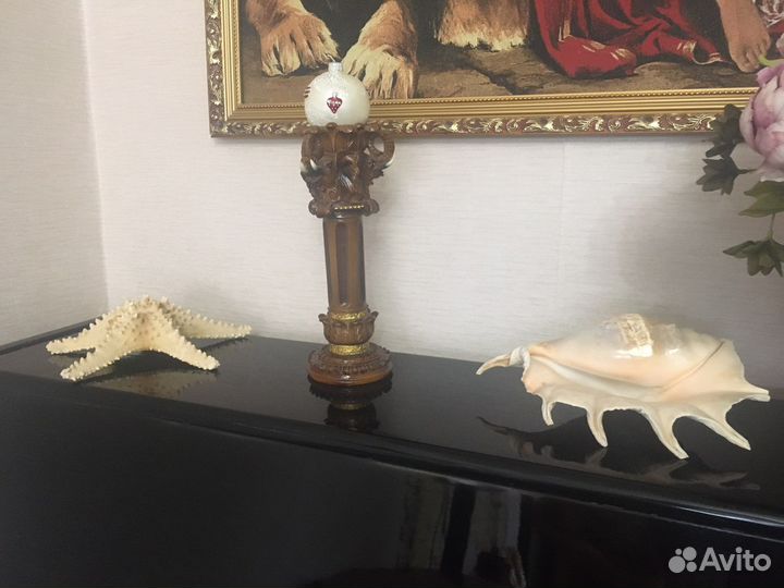 Морские ракушки раковины