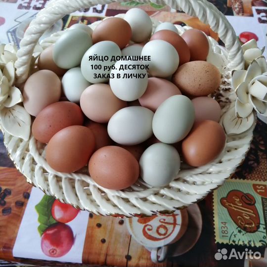 Домашние куриные яйца