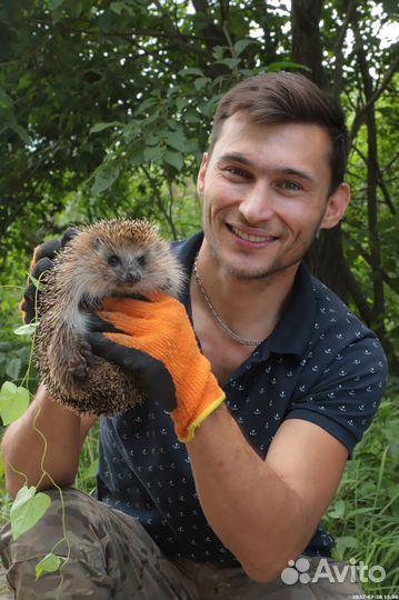 Мастер на час/Сантехник/Электрик/Муж на час