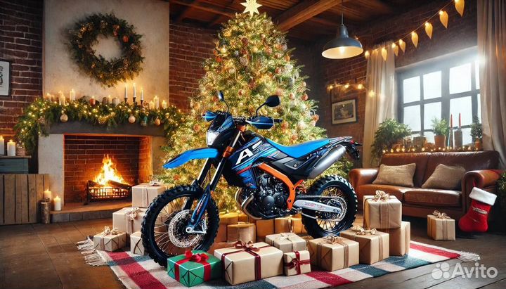 Мотоцикл Enduro 250 EFI Exclusive инжектор