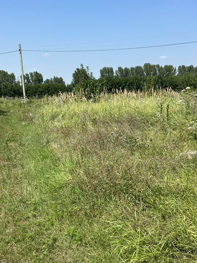 Участок 11,5 сот. (ИЖС)