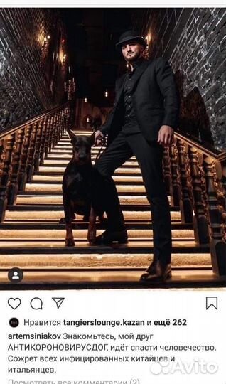 Собака для фотосессий