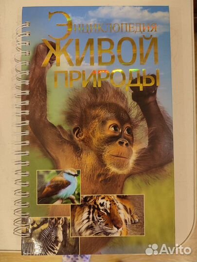 Энциклопедия живой природы