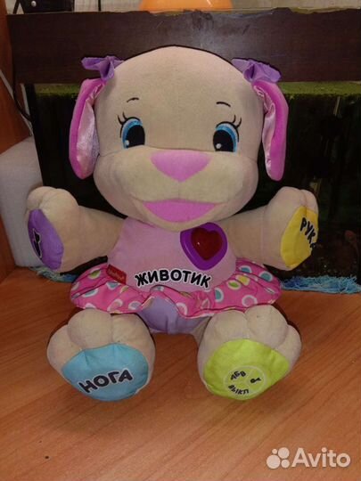 Музыкальная собака