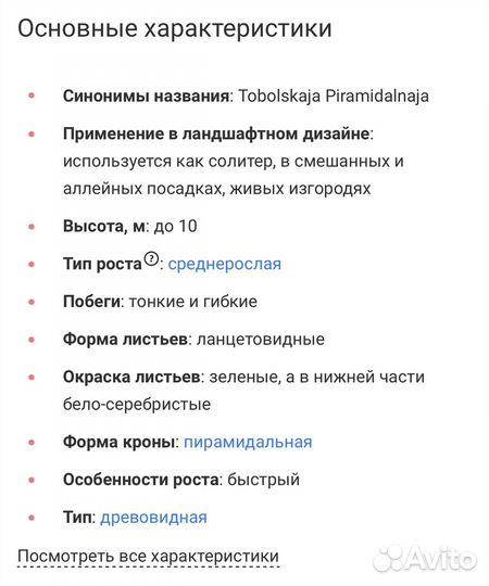 Ива тобольская (Тобол)