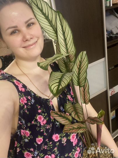 Няня для ребёнка у себя дома (бебиситер)