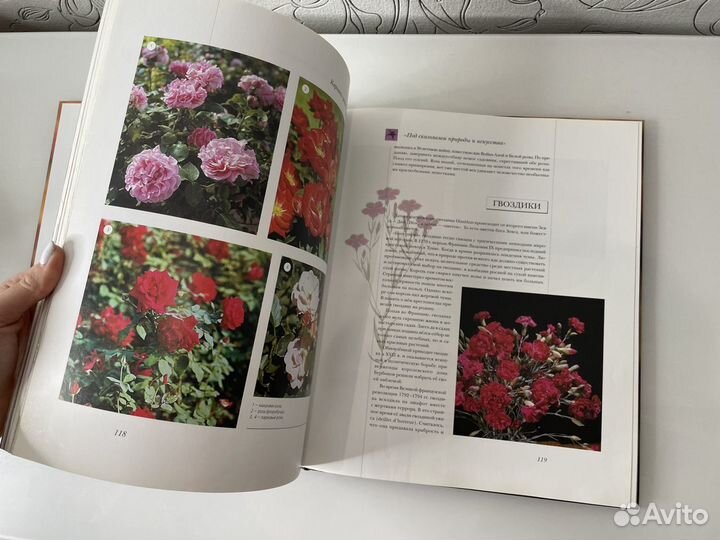 Энциклопедия для детей Цветы Мира (Аванта)