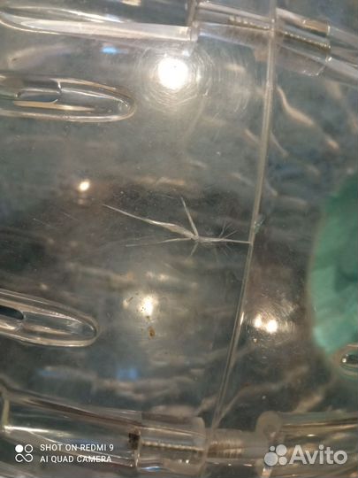 Шар для грызунов 33 см