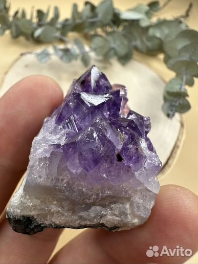 Друза Аметиста
