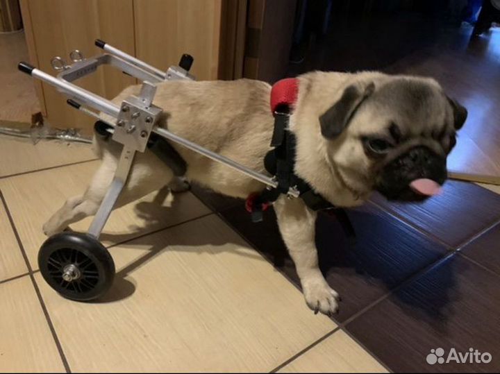 Инвалидная коляска для собаки