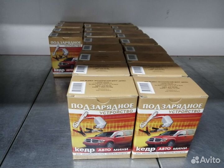 Зарядное устройство кедр