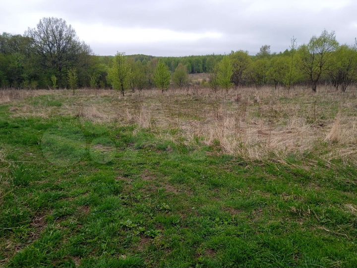 Участок 5,72 га (СНТ, ДНП)