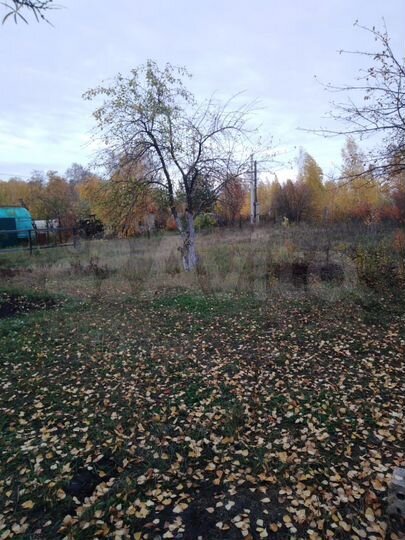 Участок 4 сот. (СНТ, ДНП)