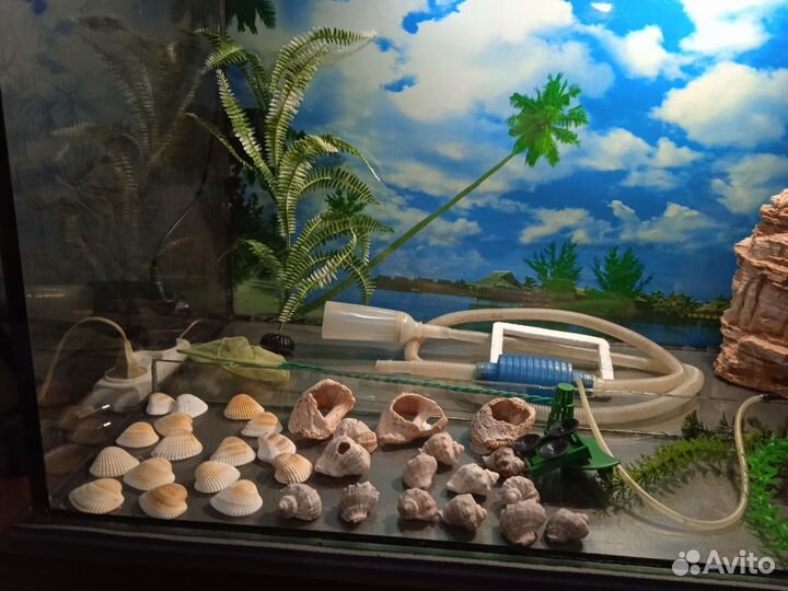 Аквариум