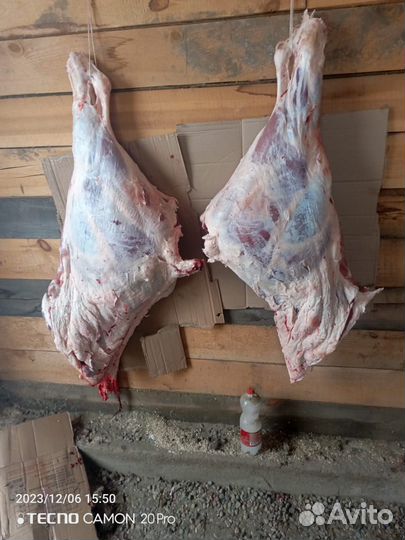 Говяжьи обрези для собак