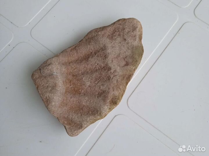 Окаменелости возрастом от 150 миллионов лет