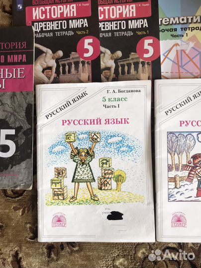 Рабочие тетради 5 класс