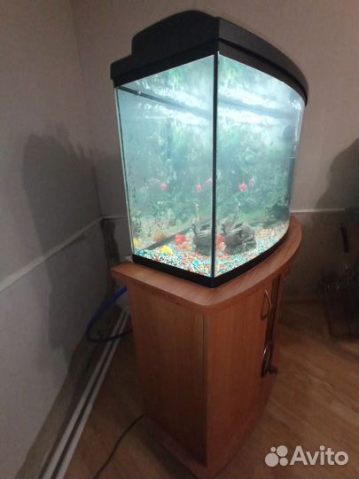 Аквариум с тумбой