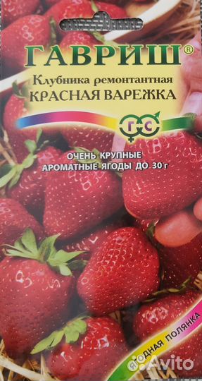 Земляника ремонтантная