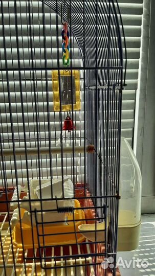 Клетка для птиц бу