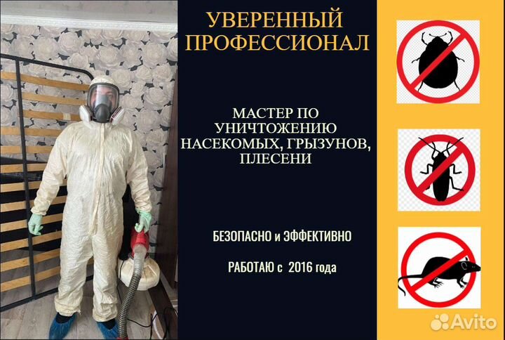 Уничтожение насекомых