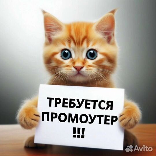 Промоутер. Расклейщик. Подработка. Частые выплаты